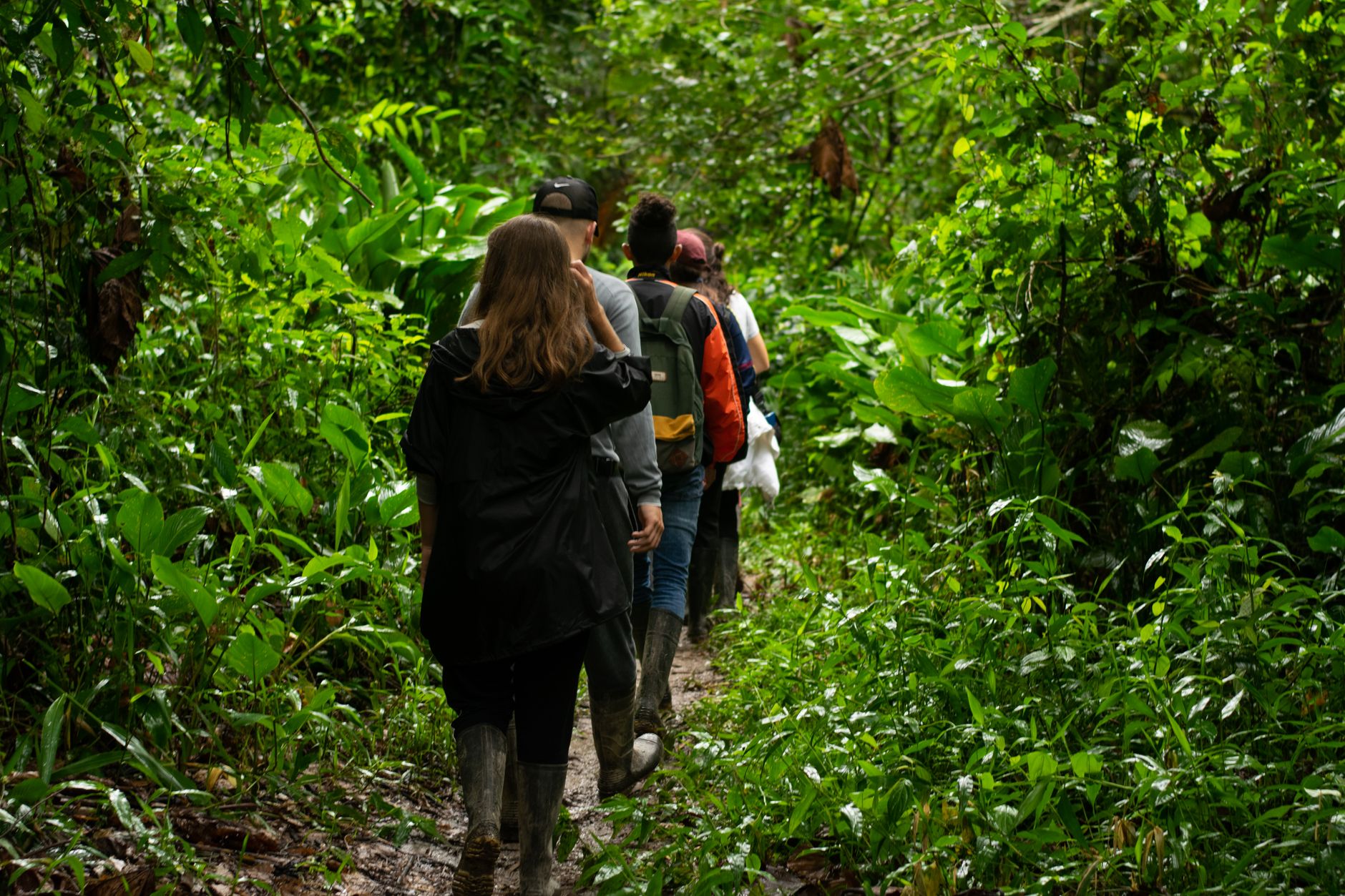 Amazon — Brazil, Brazil