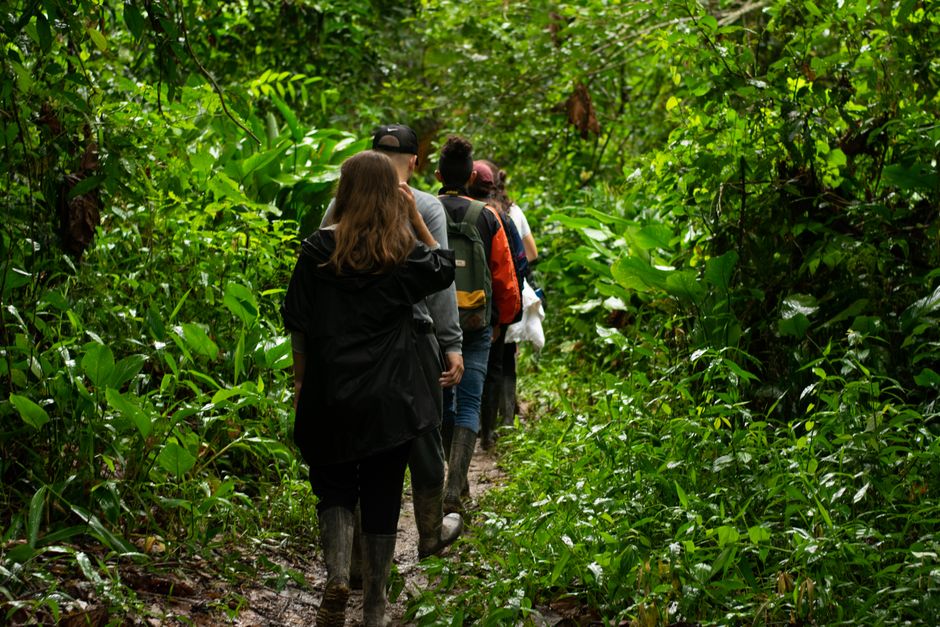 small trekking group with ranger, muddy rainforest trail, present, clear blue sky