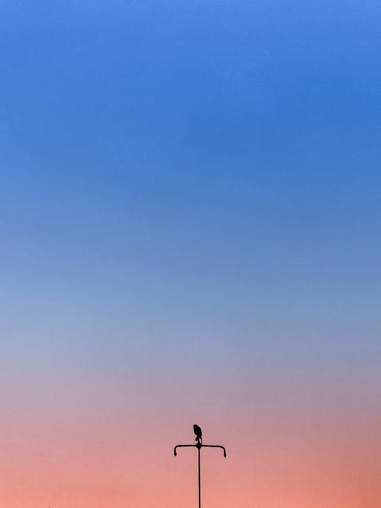 Silhouette Of A Bird Perched On A Metal Post Under Beautiful Sky