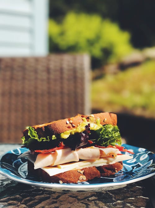 A Sandwich on a Floral Ceramic Plate