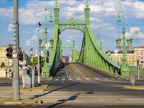 The Liberty Bridge in Budapest hungary
