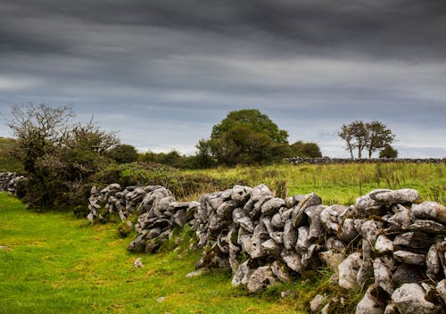 Stone Fence on Green Grass Field