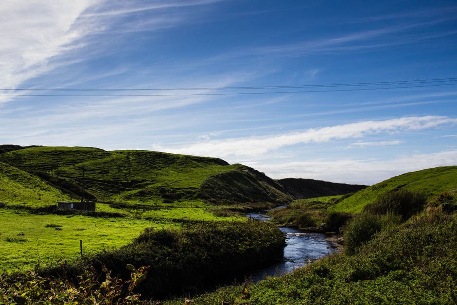 General Employment Permit (GEP) Irlande — Guide Complet 2026