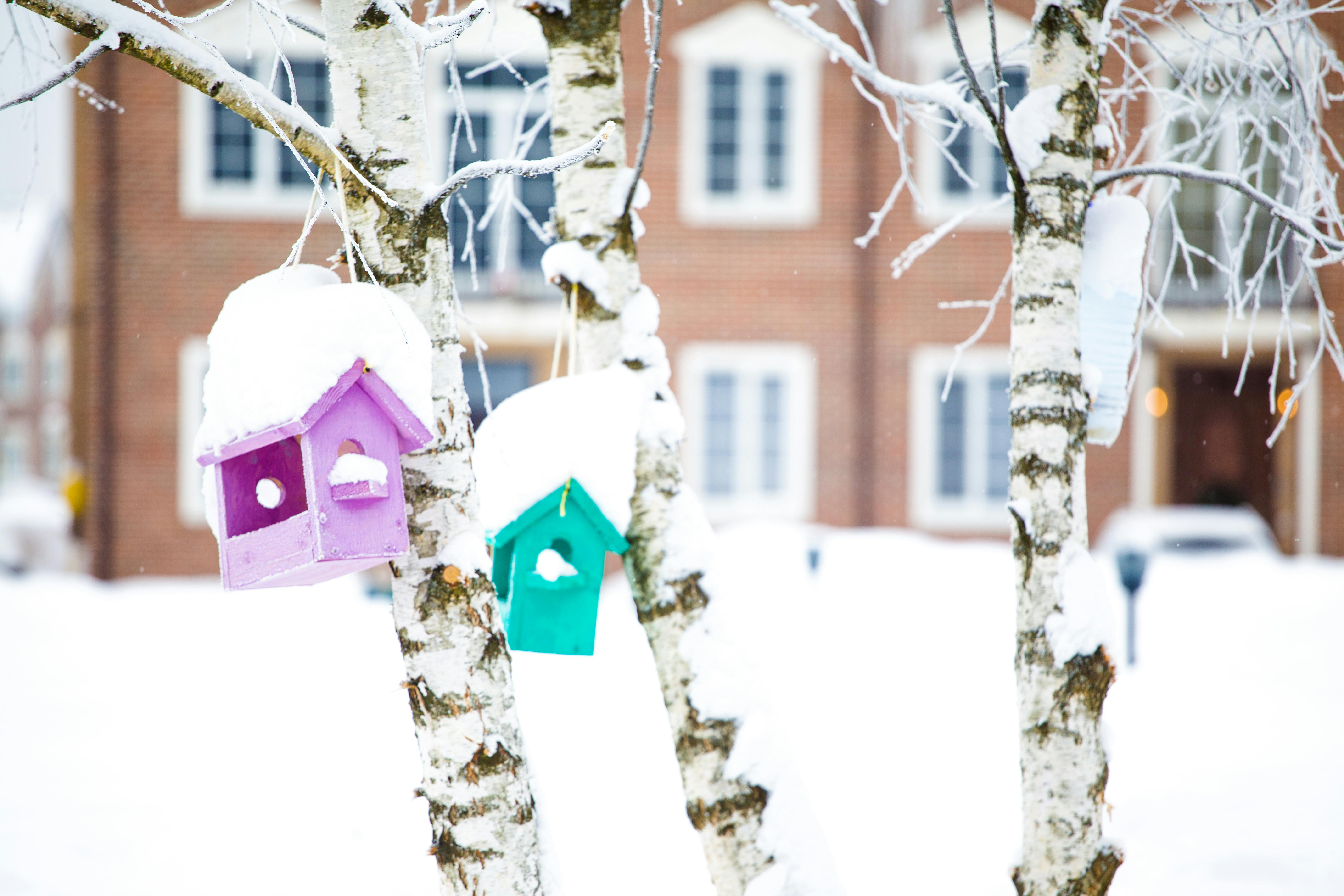 Roundup: Weather cancellations / Mortgage rates rise / Plumbing rules reworked — Photo by Sergey Platonov on Pexels