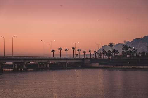 日落, 橋, 水 的 免費圖庫相片