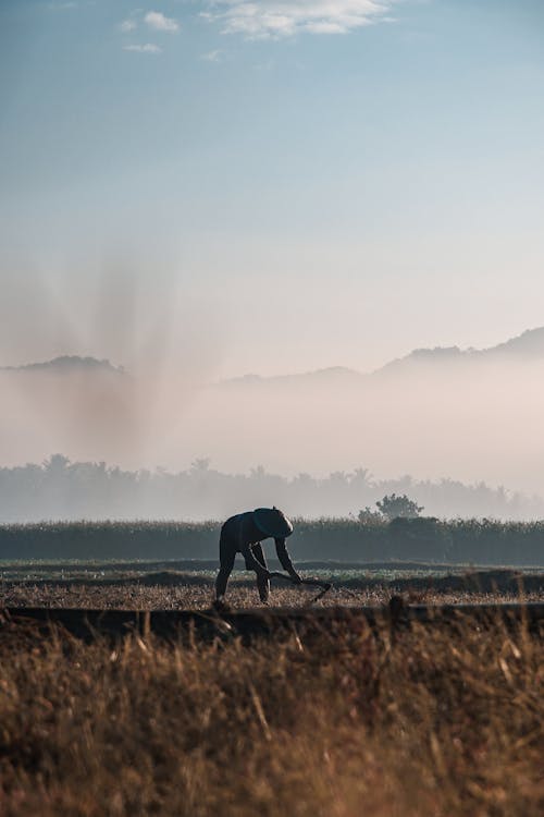 Foto profissional grátis de agricultor, agricultura, área