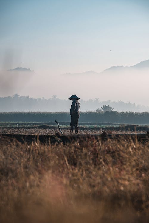 Free A Farmer in a Conical Hat in the Middle of the Field Stock Photo