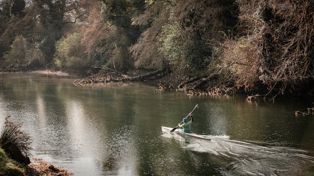 A person kayaking on a serene river surrounded by lush forest in Burgo, Galicia, Spain.