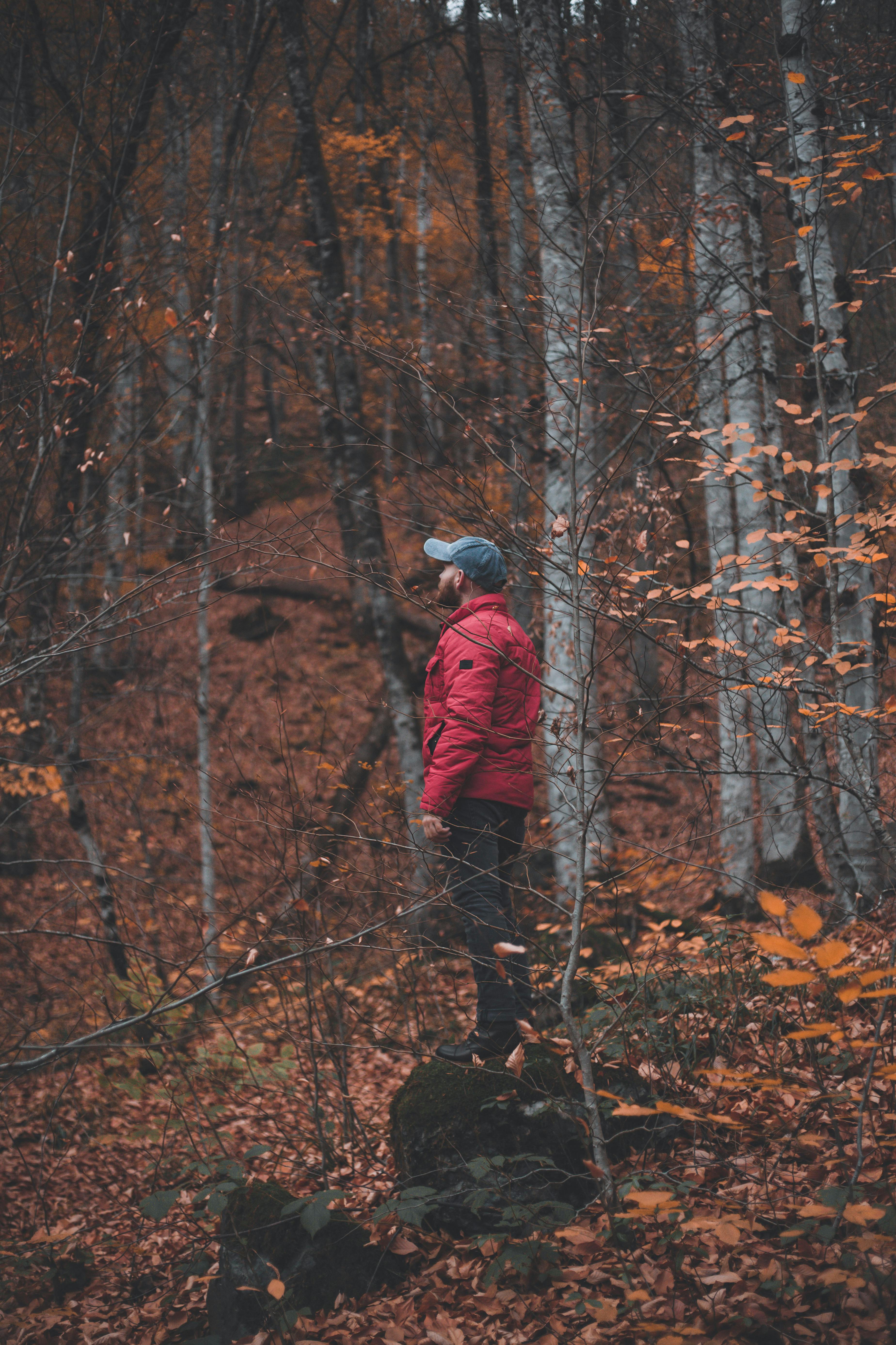 A man in a red leopard print jacket standing in a forest photo – Free Black  forest Image on Unsplash