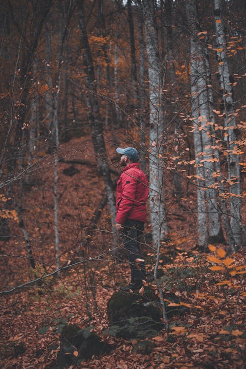 Free Man in Red Jacket Standing in Forest Stock Photo