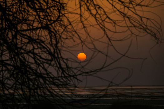 Captivating view of the sun setting behind bare tree branches creating silhouettes.