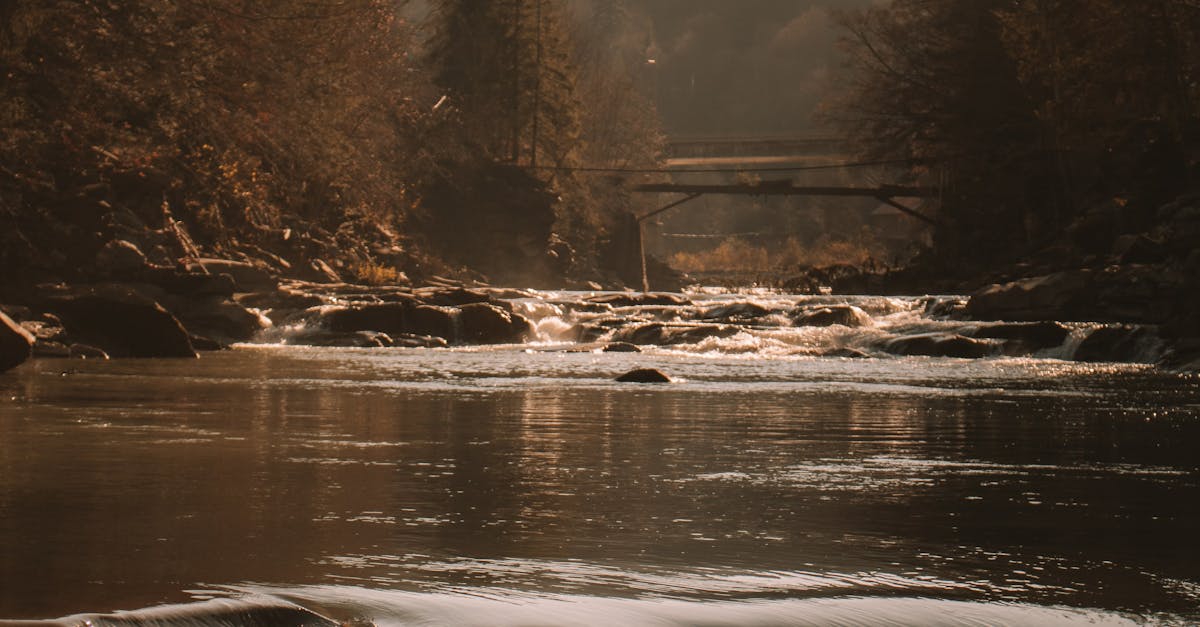 Strong Current of Water Flowing on the Stream · Free Stock Photo