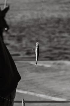 Detailed black and white shot of a small fish caught on a fishing line, highlighting texture and focus.
