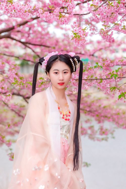 Free Portrait of a beautiful Asian woman in traditional attire, surrounded by blooming cherry blossoms. Stock Photo