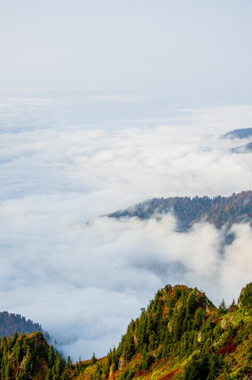 Green Trees on Mountain Under White Clouds