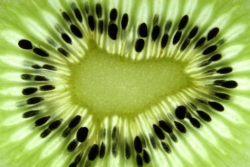 Free stock photo of fruit, kiwi