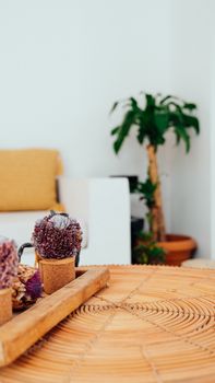 Stylish living room featuring potted plants and wicker accents for a cozy atmosphere.