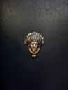 Gold Lion Head Embossed Wall Decor