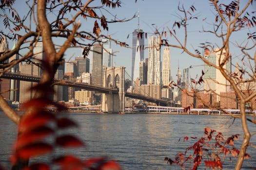 View of the Brooklyn Bridge and Manhattan skyline framed by autumn leaves, capturing New York City's urban beauty.