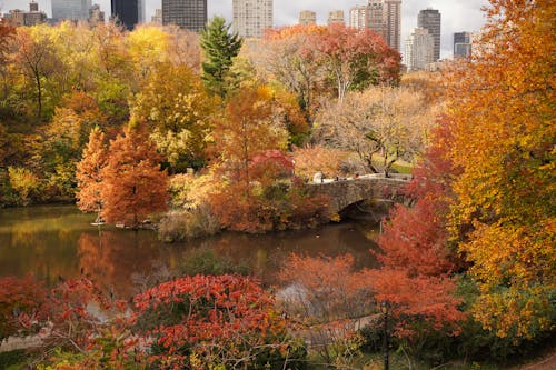 Secret Fall Foliage Spot Reopens for a Short Time