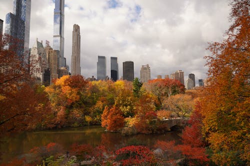 Photos gratuites de arbres, automne, bâtiments