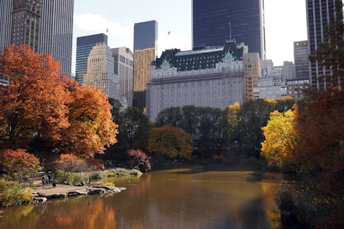 가을, 강, 건물의 무료 스톡 사진