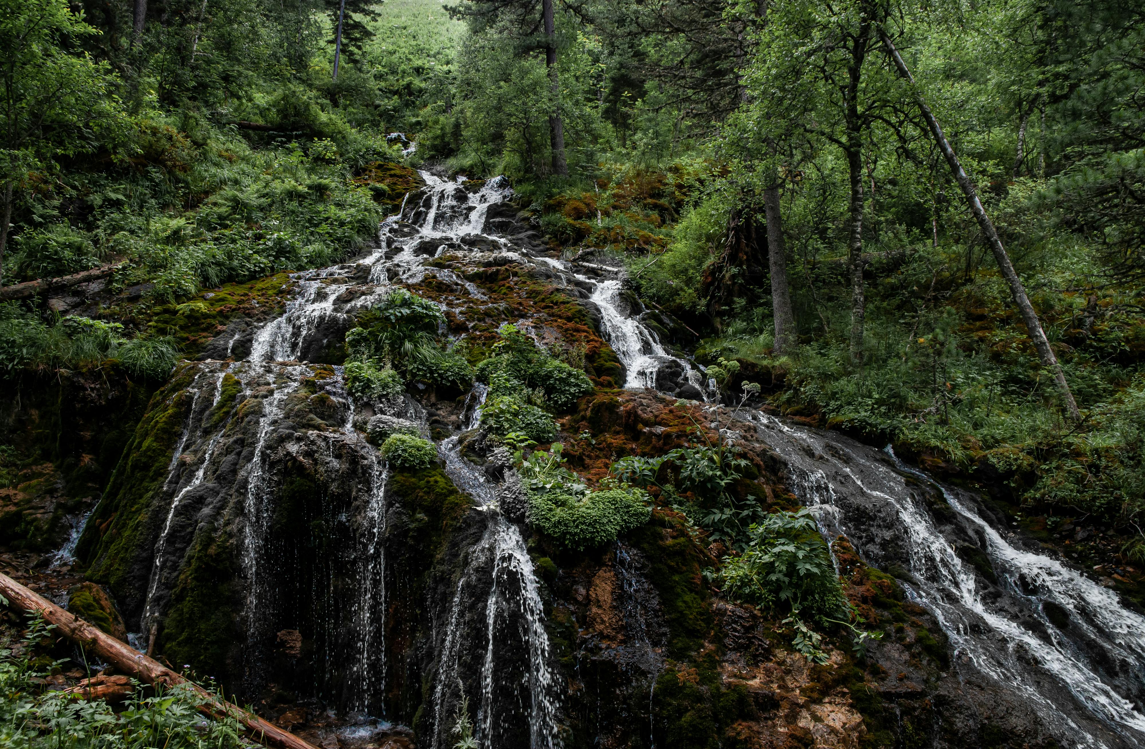 Castles, Peaks & Cascades – Transylvania's Wild West — day trip from Cluj-Napoca