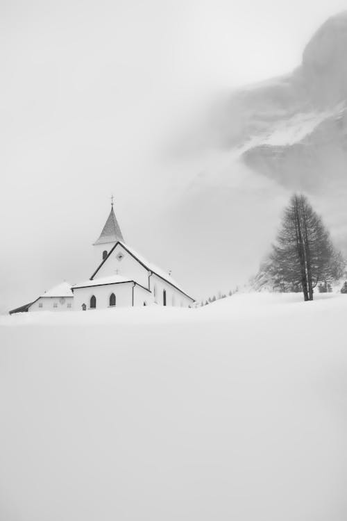 Kostenloses Stock Foto zu aufnahme von unten, baum, bergauf