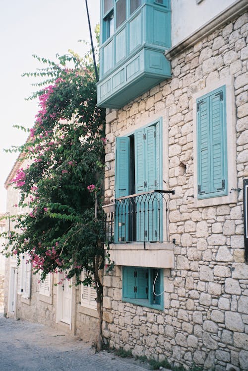 Blue Window Shutters on a Concrete Structure Beside Green Plant