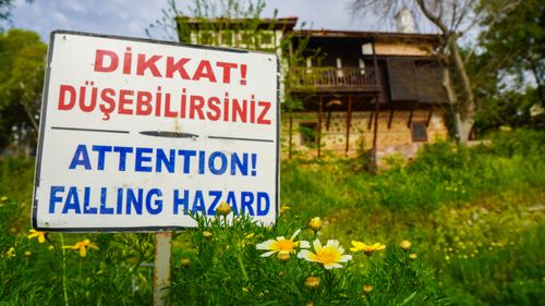 Free stock photo of attention, attention sign, bell flower Stock Photo