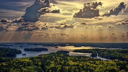 Free Aerial Photo Of Forest Beside Body Of Water Stock Photo
