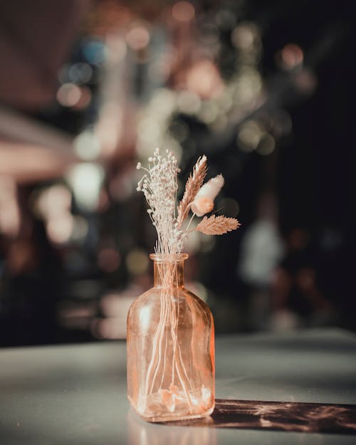 A Dried Flowers on a Glass Vase