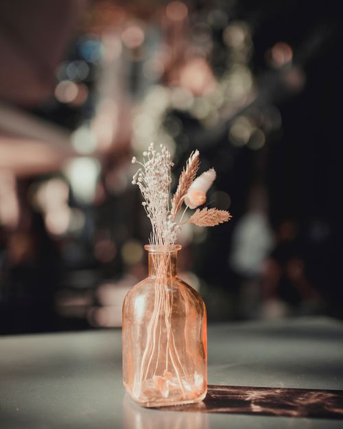 Free Elegant arrangement of delicate dried flowers in a glass vase with a blurred background for a moody atmosphere. Stock Photo