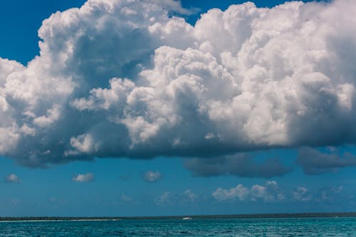 Free White Clouds over Blue Sea Stock Photo