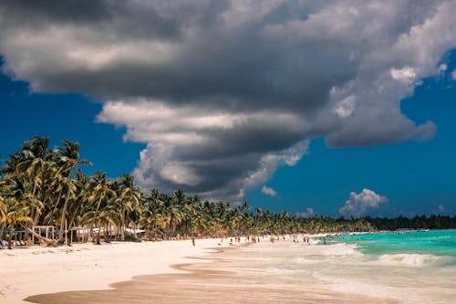 White Sand Beach Under Gray Clouds