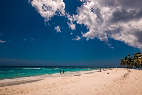 White Sand Beach Under Blue Sky With White Clouds