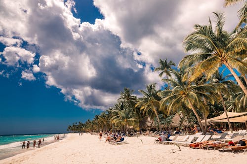 Free People Sitting on Sun Loungers on the Seashore Stock Photo