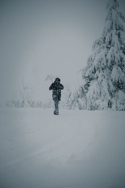 Free A person walks through a snowy landscape in Isparta, Türkiye during a heavy snowfall. Stock Photo