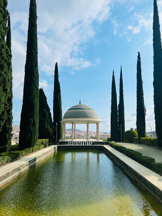 A Pool in a Botanical Garden · Free Stock Photo