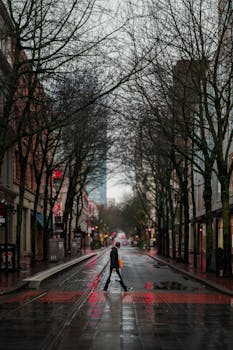 A person crosses a quiet downtown street under bare trees in rainy weather.