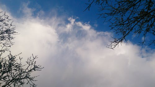 Free clouds and blue sky Stock Photo