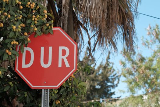 Close-up of a Turkish stop sign surrounded by trees with fruits.