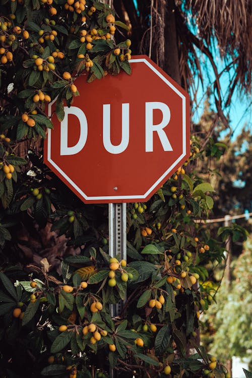Free Close-up of a Turkish Stop Sign Stock Photo