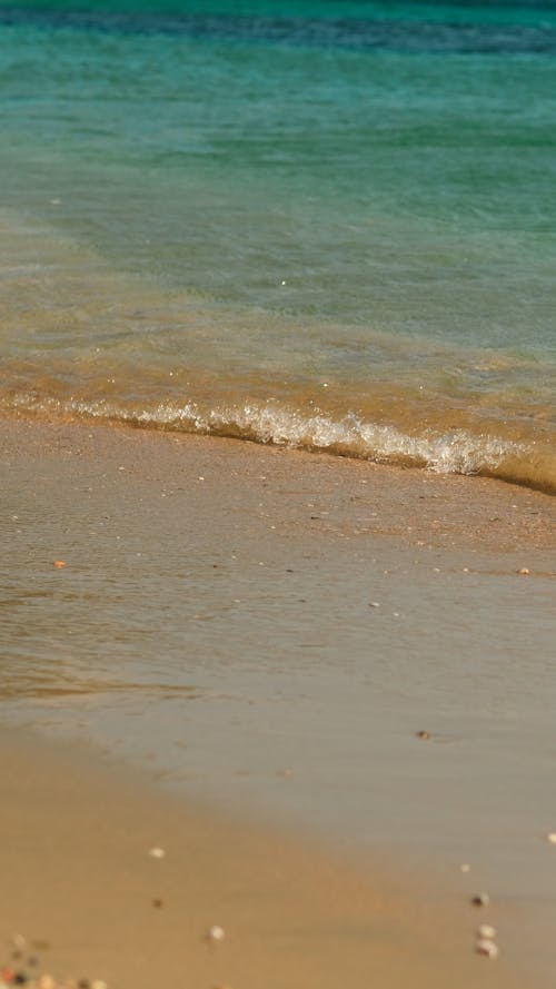 Wet Sand on Shore