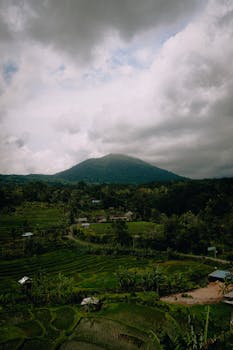 Beautiful view of lush rice terraces in Bali, Indonesia with a dramatic cloudy sky overhead. Perfect for nature and travel themes.