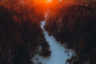 Green Trees on Snow Covered Ground during Sunset