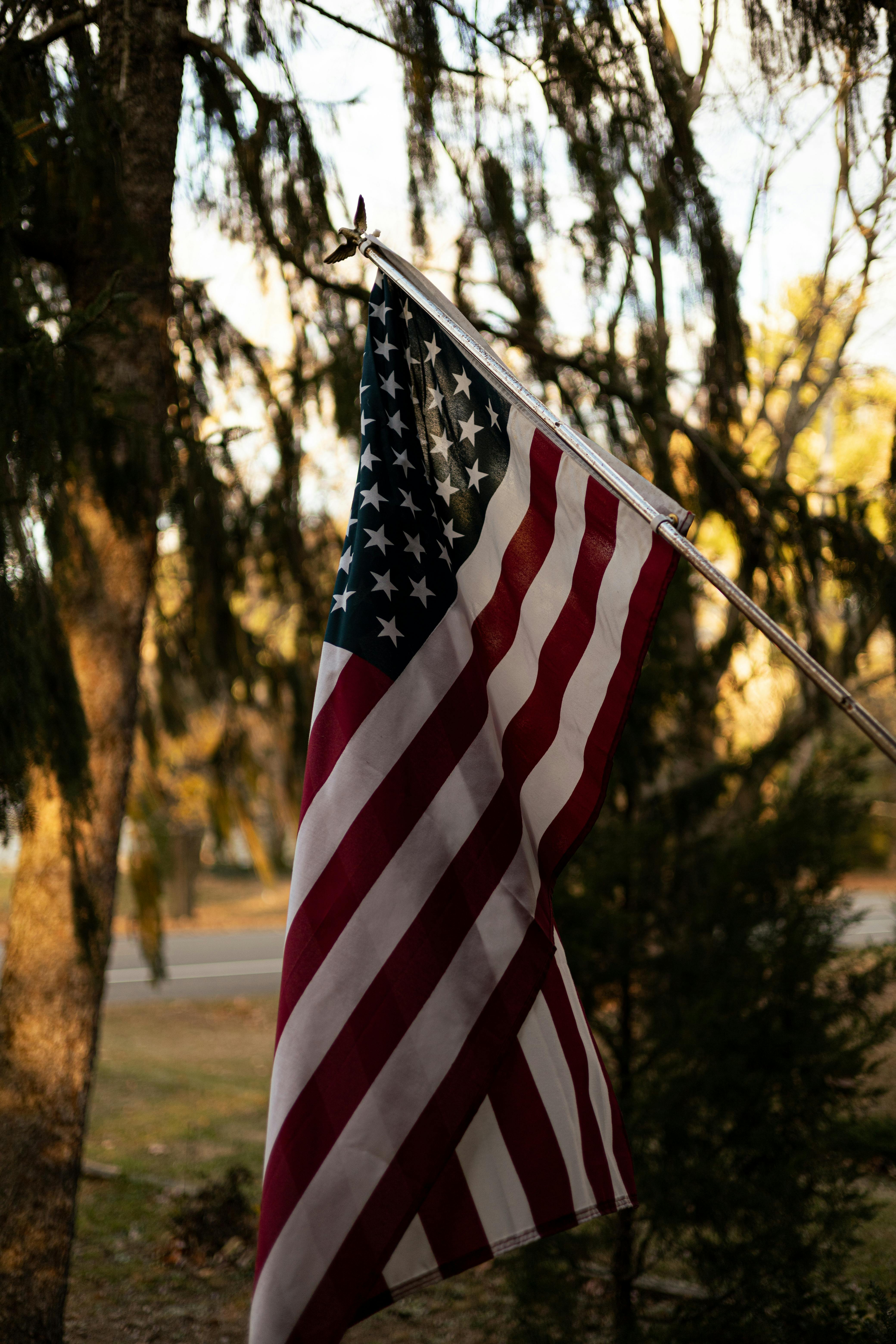 photograph of the flag of the united states of america