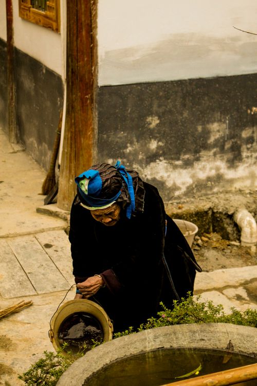 Free Senior Asian woman collecting water in a bucket, demonstrating traditional rural lifestyle. Stock Photo