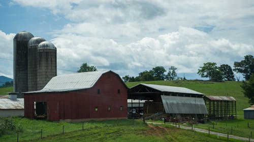 Fotobanka s bezplatnými fotkami na tému červená stodola, chov zvierat, farma