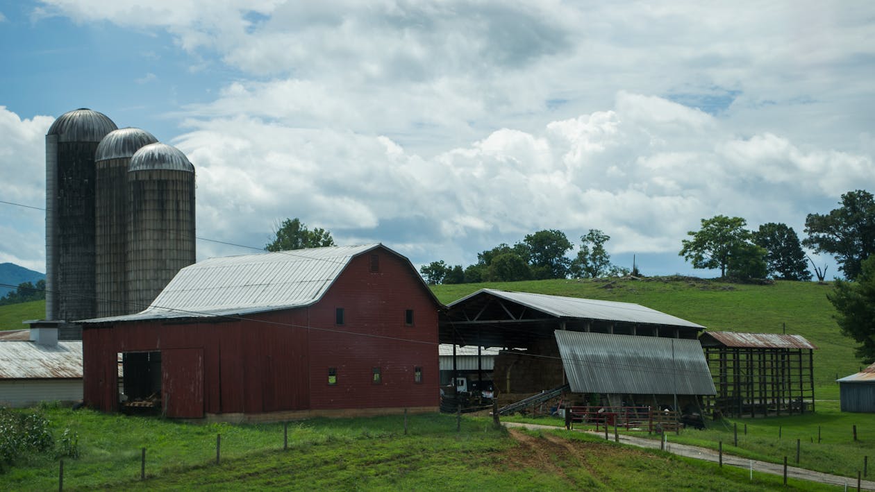 Free stock photo of animal farming, barn, blue skies